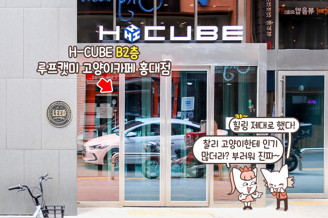 고양이들의 컨디션을 위한 입장 제한🙅