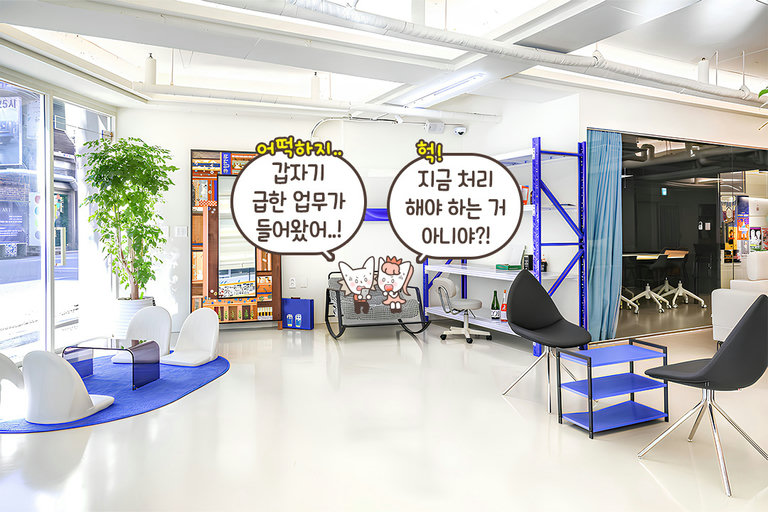 인간미 넘치는 휴머니티 컬처✨