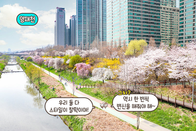 상쾌한 양재천 산책까지🧑‍🤝‍🧑