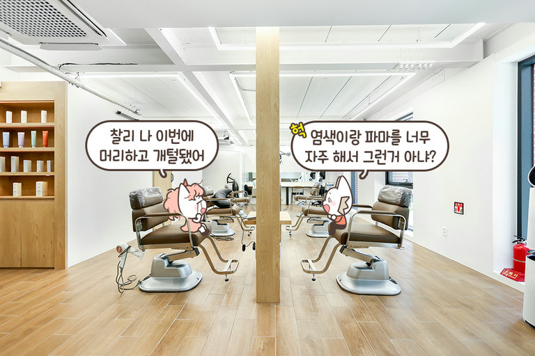 프라이빗 관리실에 온 느낌🌿
