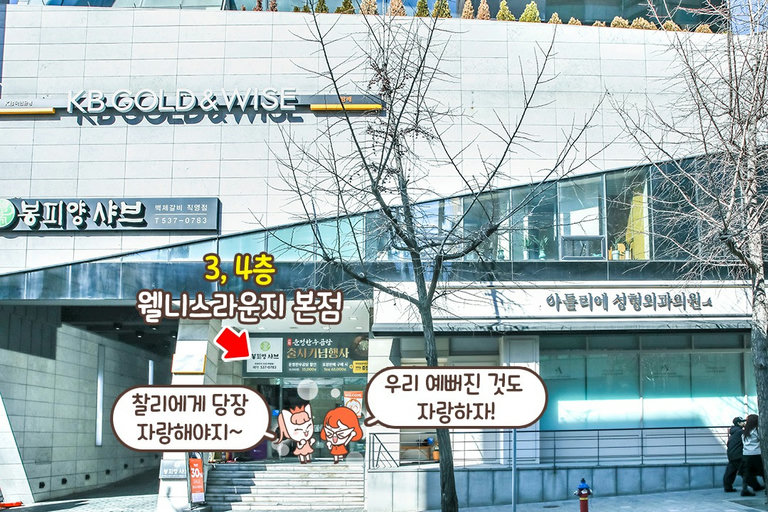 최상의 트리트먼트로 맛보는 무릉도원