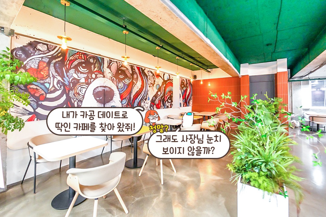 전 좌석 콘센트 연결 가능한 곳🔋