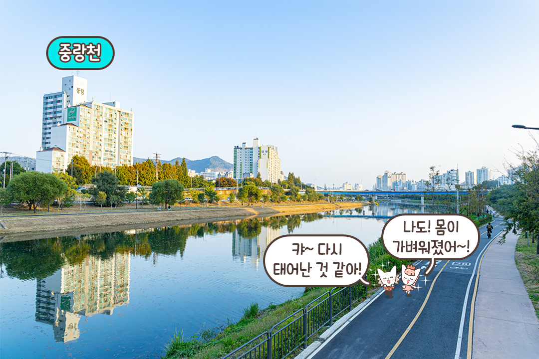 힐링이 가득했던 마사지데이😇