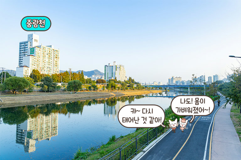힐링이 가득했던 마사지데이😇