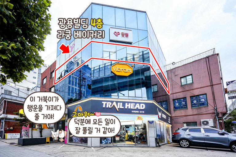 예쁜 포토존에서 귀여운 라쿤과 함께