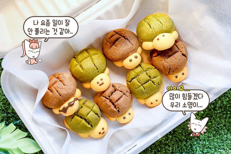 거북이와 행운의 관계🍀