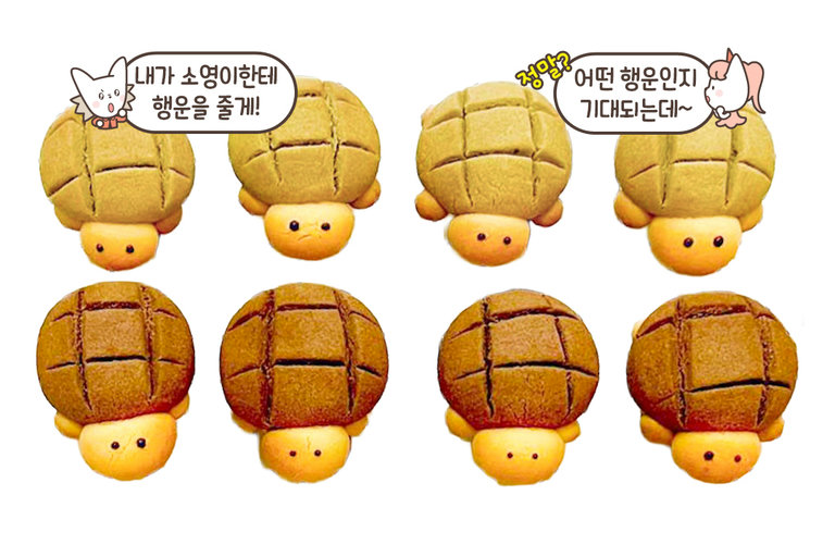 세상에 같은 거북이는 없다😉