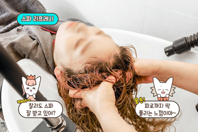 몸 전체를 리프레시하는 시간