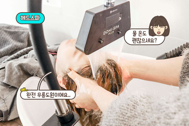 두피 타입별 맞춤 샴푸