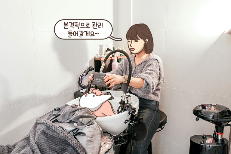 두피 각질부터 노폐물까지 싹~