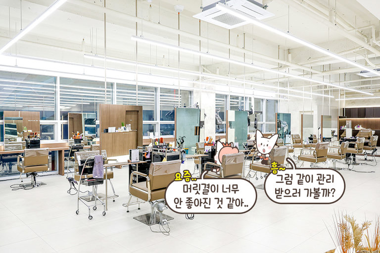 깔끔하고 화사한 내부 공간