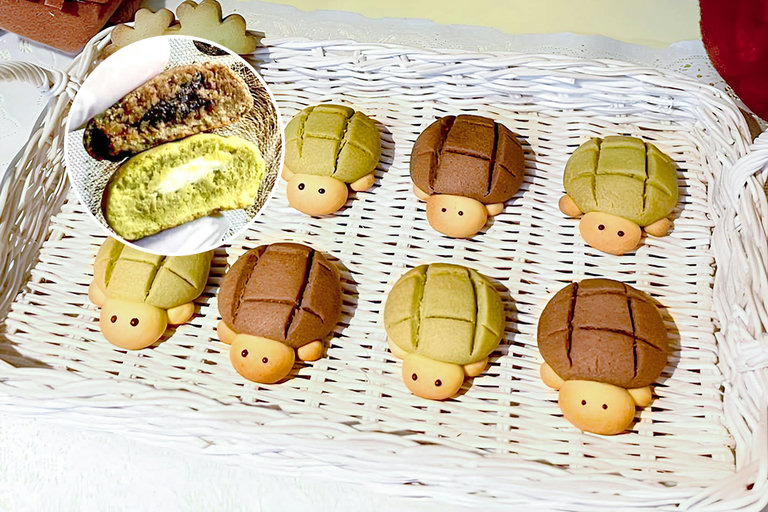 거북이와 행운의 관계🍀