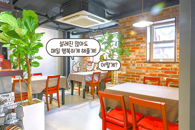 낭만 가득한 골목 뷰 루프탑🌇