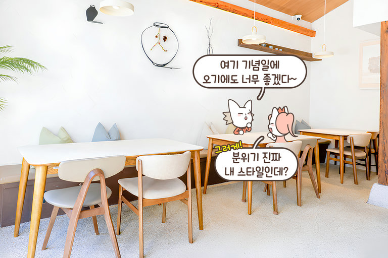 포근한 분위기가 가득한 공간
