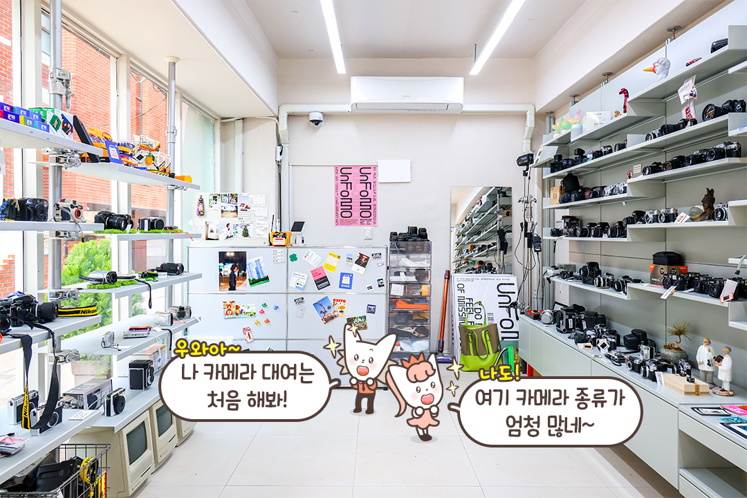 다양한 빈티지 카메라가 가득한 내부