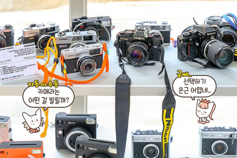 '언포모' 이용 방법✅ 나에게 맞는 카메라 고르기