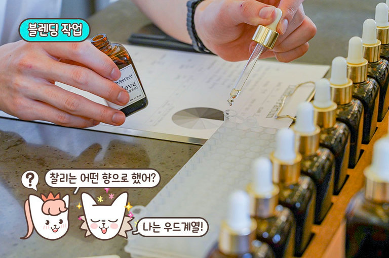 두근두근! 저희가 선택한 향들은요✧٩(ˊωˋ*)و✧