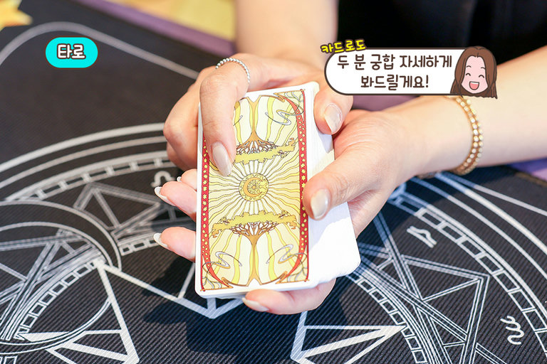 본격적으로 시작되는 타로 상담🃏