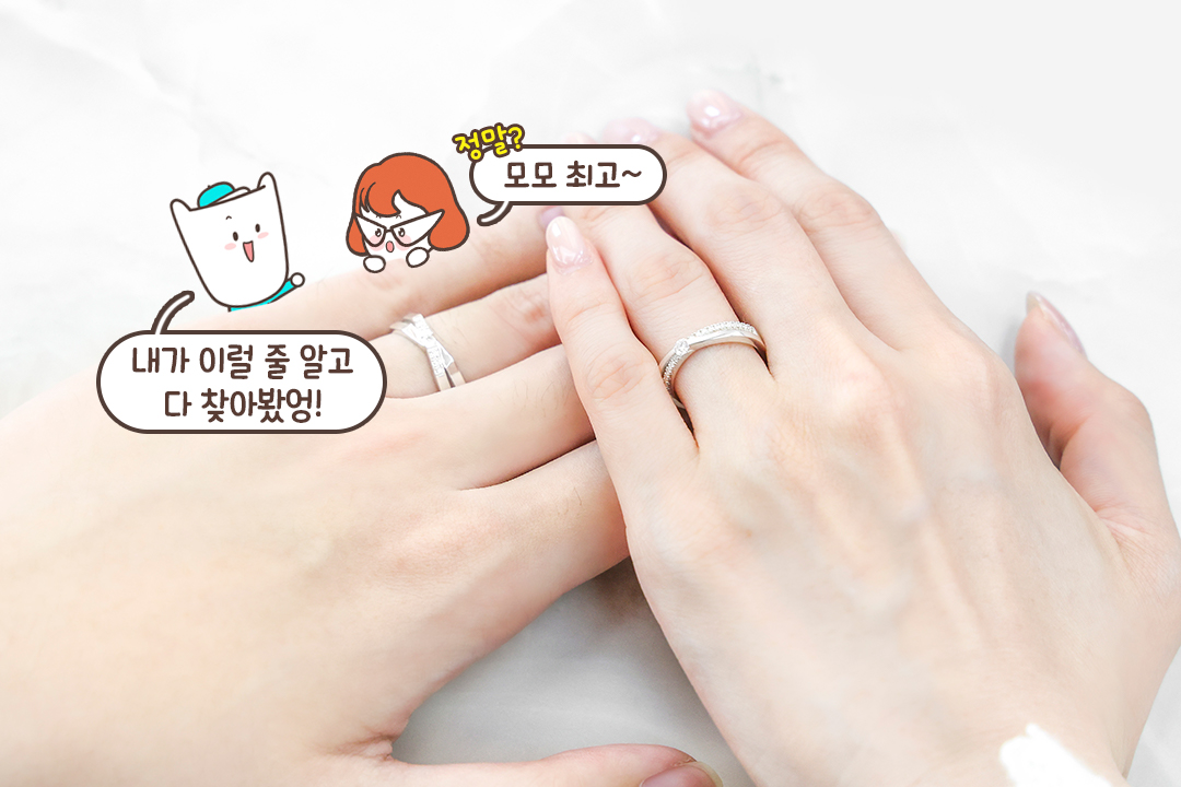 화려한 매력이 돋보이는 시그니처 라인