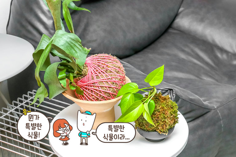 사람에 따라 서로 다르게 만들어지는 독특한 크기