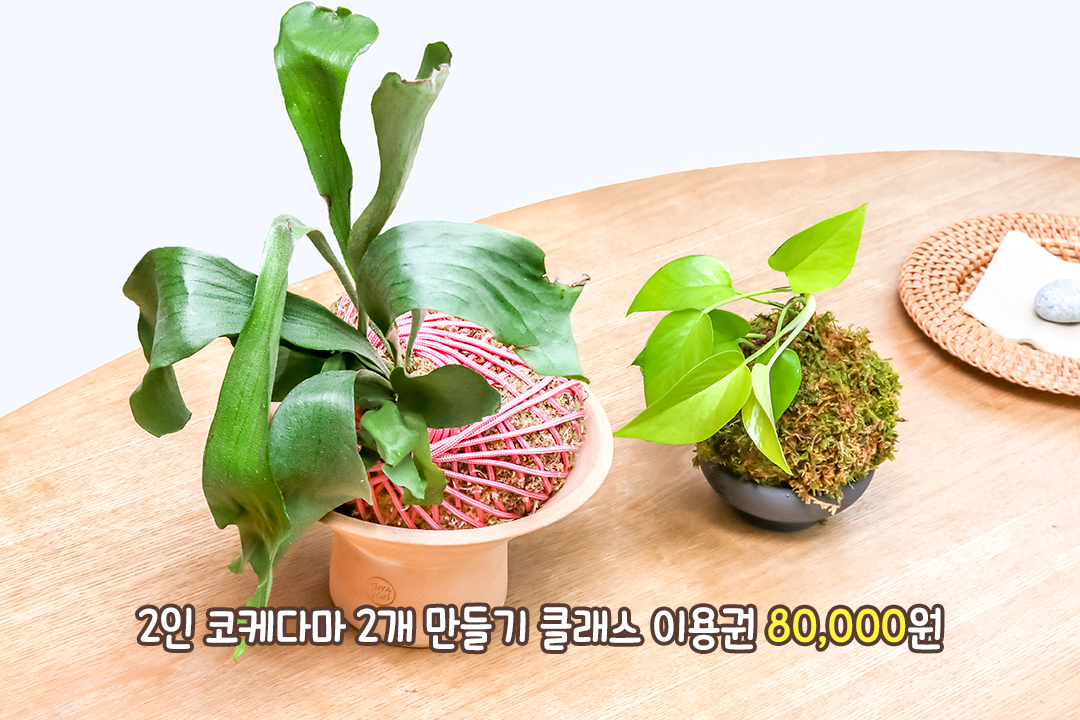 사람에 따라 서로 다르게 만들어지는 독특한 크기