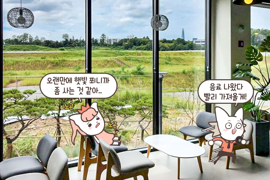 햇빛이 촤악~ 채광 좋은 대형 카페🌞