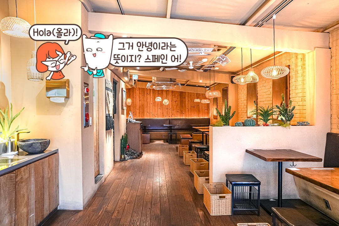 이국적인 인테리어, 사막 속 오아시스st🌵