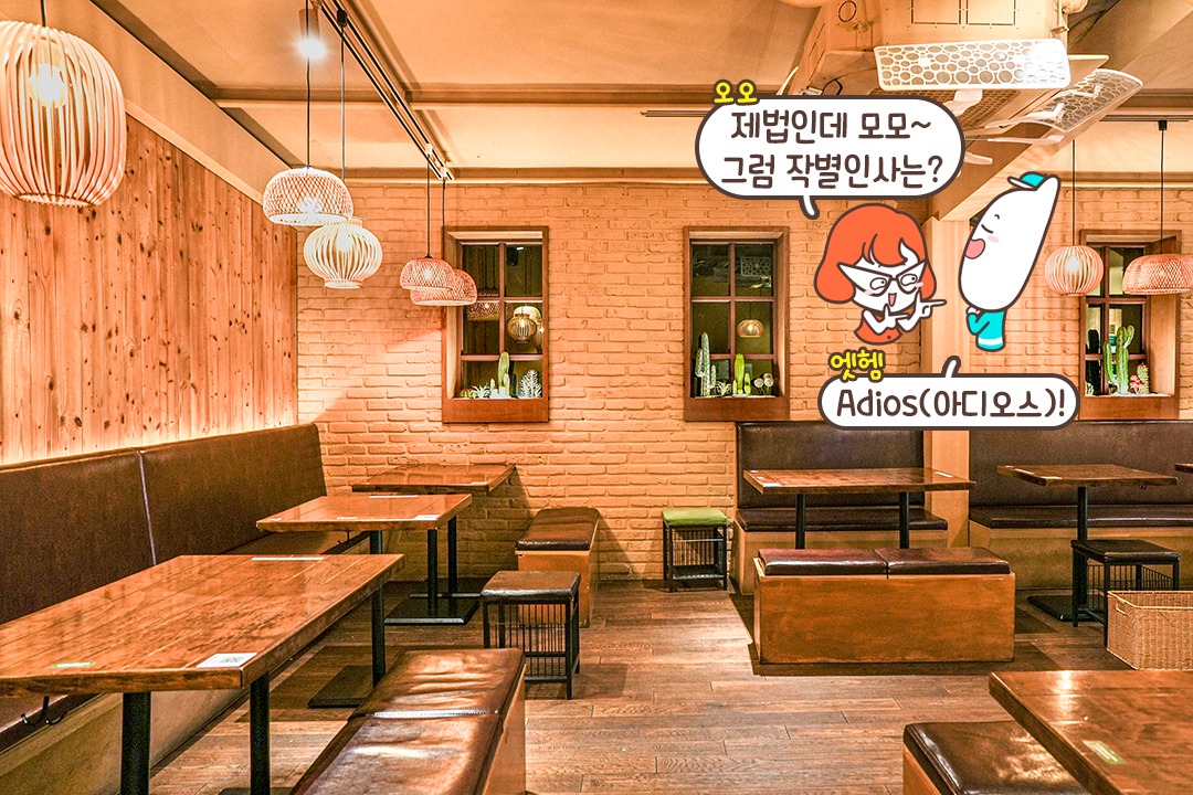 ITZY의 유나가 다섯 번 이상 방문한 버팔로윙 맛집