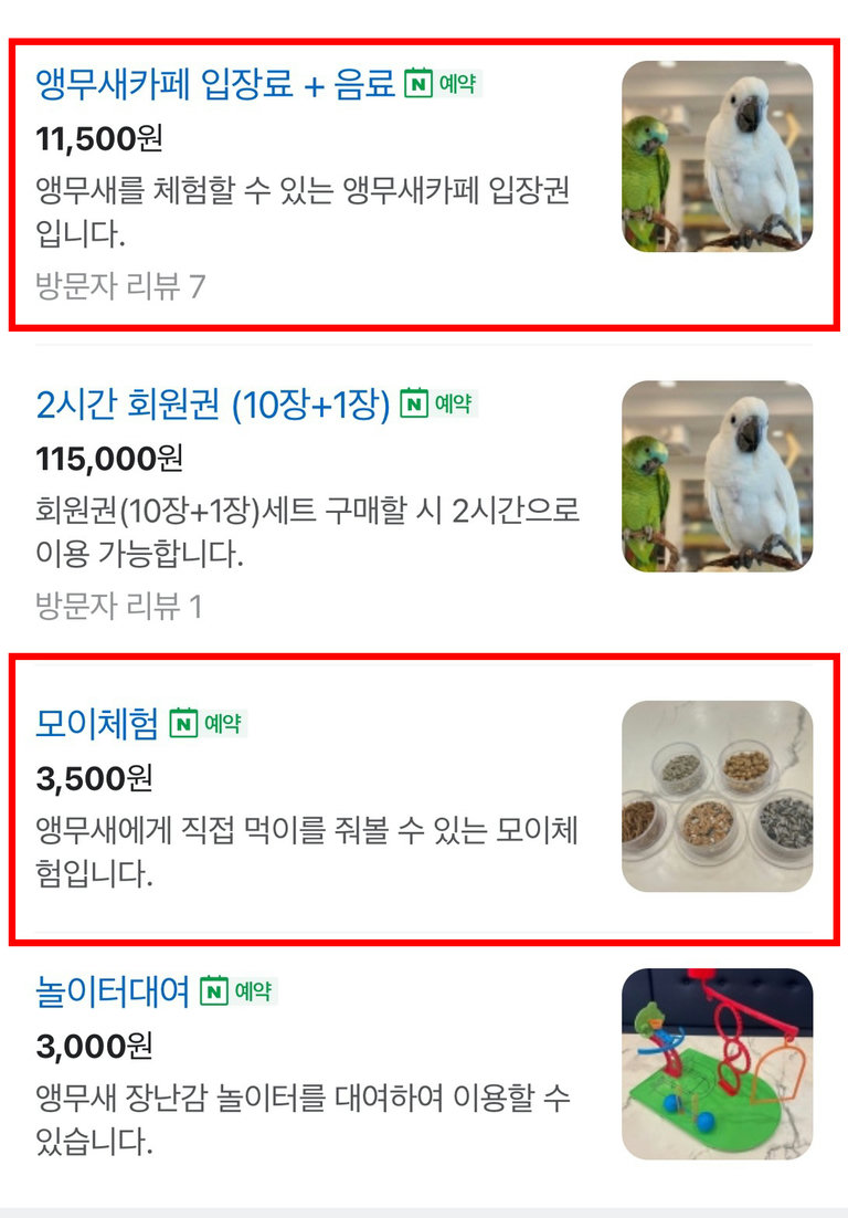 포로롱 날아다니고 재잘재잘 떠들고 너무 귀여워!