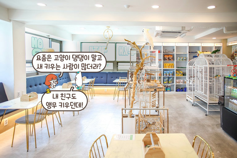넓고 깨끗한 공간에 여기저기 앵무새들이 쉴 수 있도록
