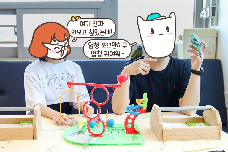너는 이름이 뭐니? 다양한 종류의 앵무새들이 가득!