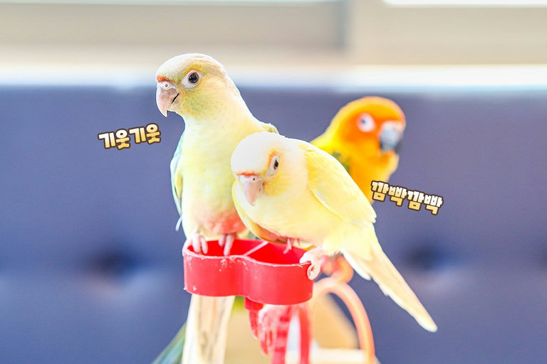 비가 와도 포근하고 따스한 실내에서 편안하게