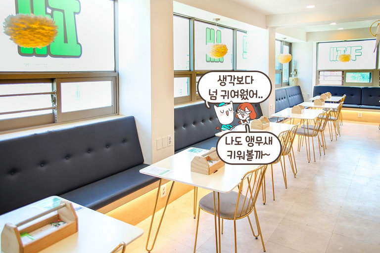 앵무새도 만지고 체험하고 음료도 마시고 힐링!