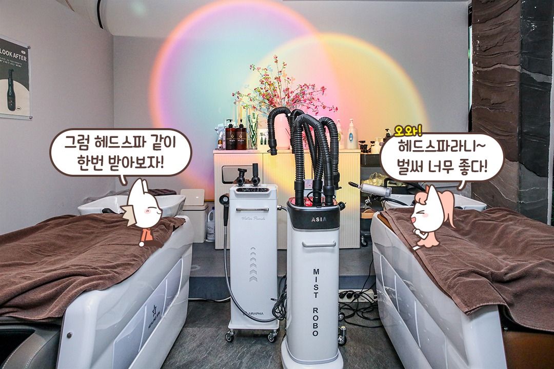 아늑한 곳에서 받는 체계적 관리🌟