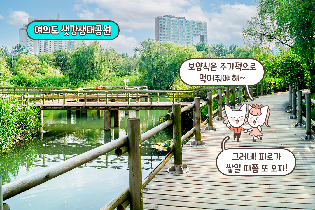 보양, 산책까지 완벽한 데이트👣