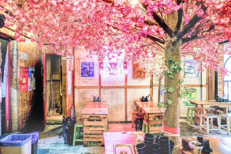 사계절 내내 벚꽃 놀이🥰