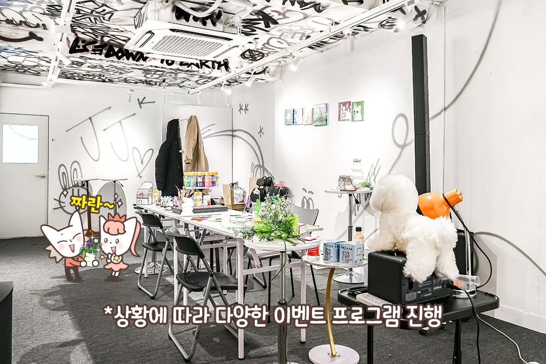 공연과 전시 그리고 특별한 이벤트까지🎨