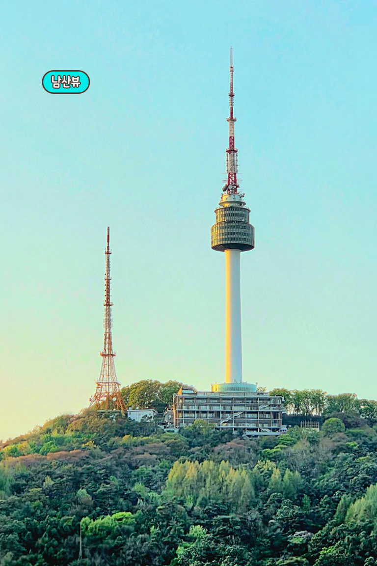 역대급 남산타워 정면 뷰..🗼