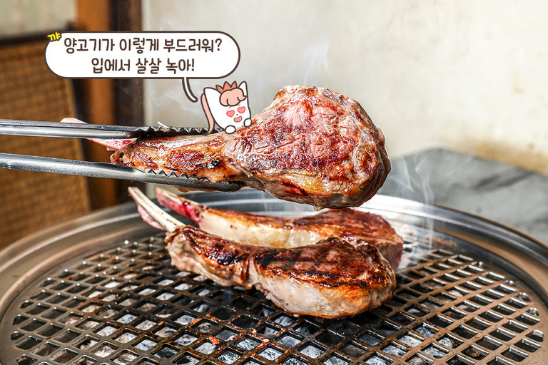 부드러움의 정점, 양 프렌치랙!