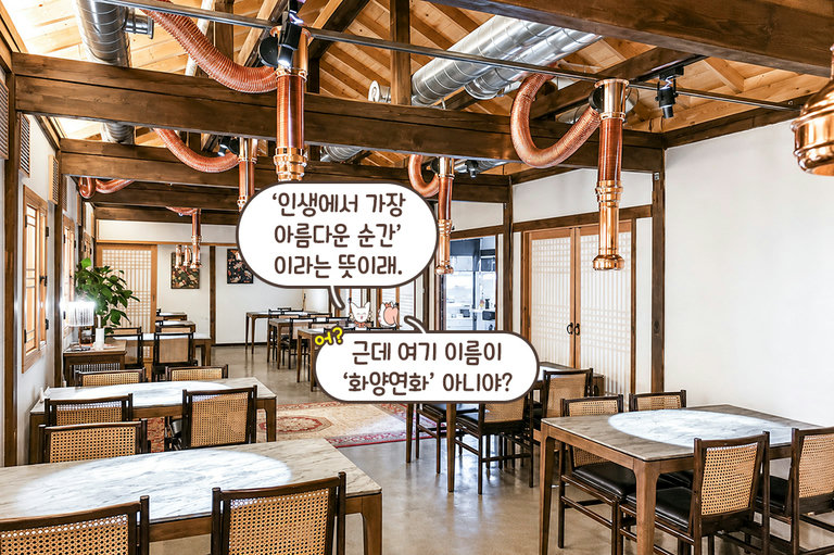 인생에서 가장 아름다운 순간, 화양연화🏵️