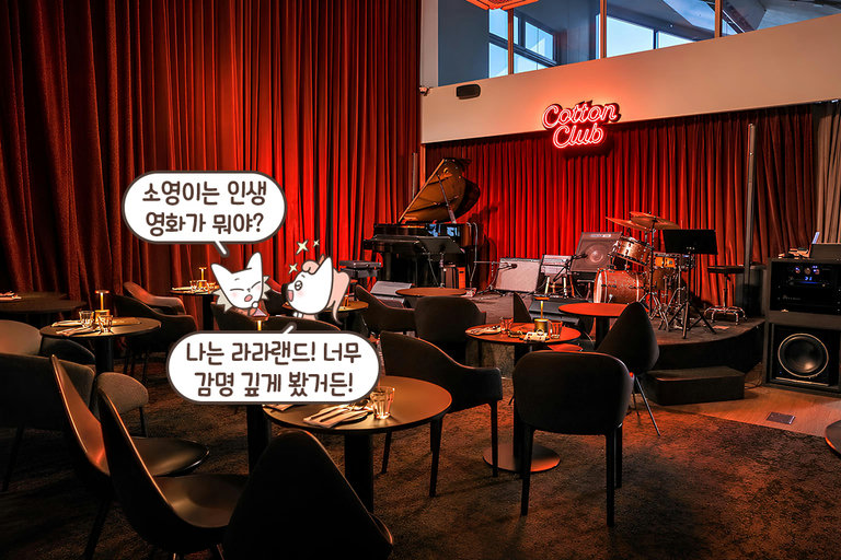 국내외 뮤지션의 무대를 눈앞에서👀