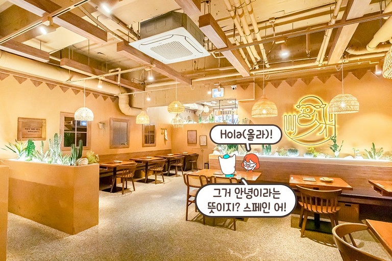 이국적인 인테리어, 사막 속 오아시스st🌵