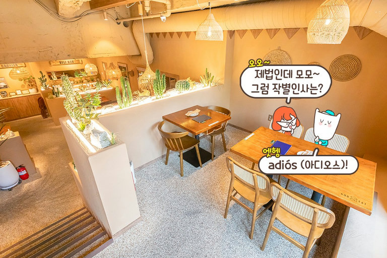 ITZY의 유나가 다섯 번 이상 방문한 버팔로윙 맛집