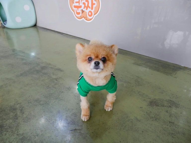 슬라이더 이미지