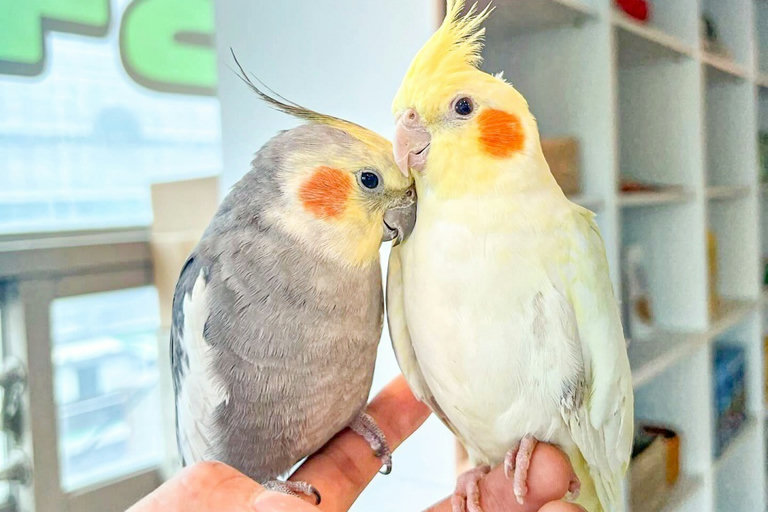 슬라이더 이미지