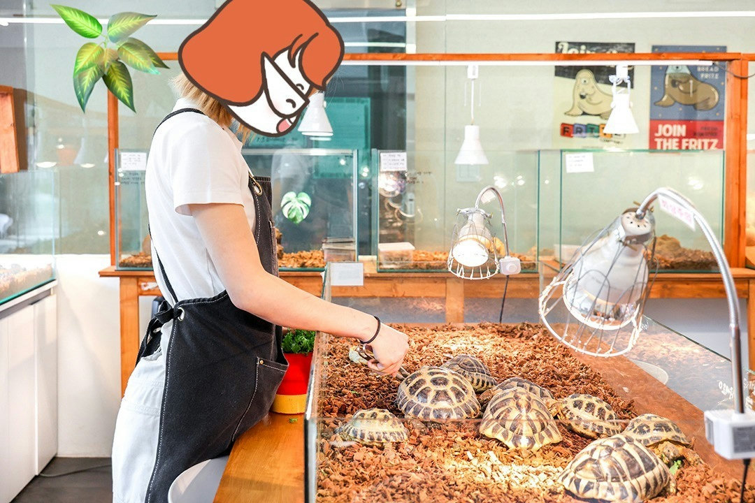 슬라이더 이미지