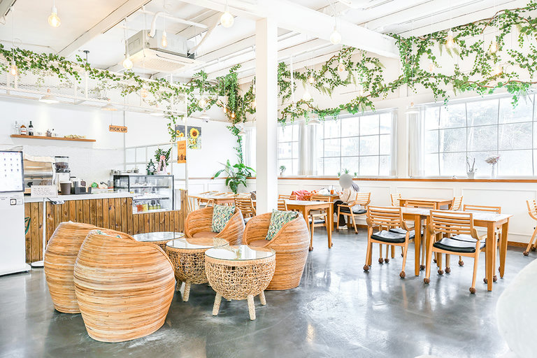 슬라이더 이미지