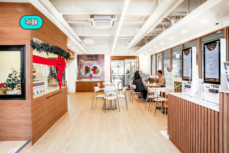 우드 & 화이트 톤의 카페 공간