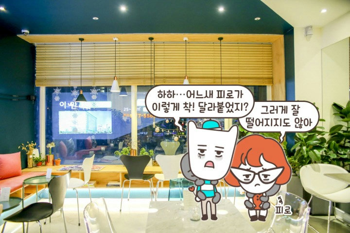 우리에게 힐링을 선사한 곳