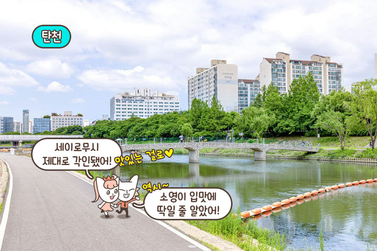 배불리 먹고, 탄천 한 바퀴!